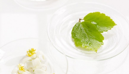 PRIMAVERA Naturkosmetik Spezialpflege - Pflanzenwasser